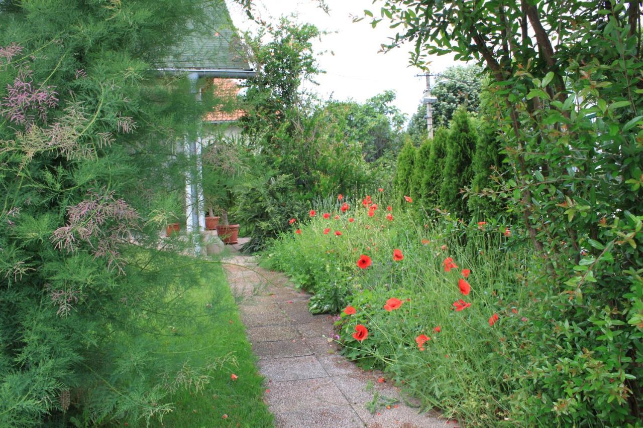 Boulevard Garden House - Free And Save Parking In The Locked Yard Cuprija Exterior photo